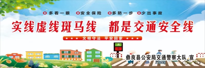 实线虚线斑马线  都是交通安全线.jpg